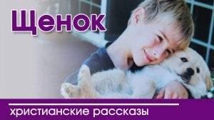 Щенок - ИНТЕРЕСНЫЙ ХРИСТИАНСКИЙ РАССКАЗ | Христианские рассказы