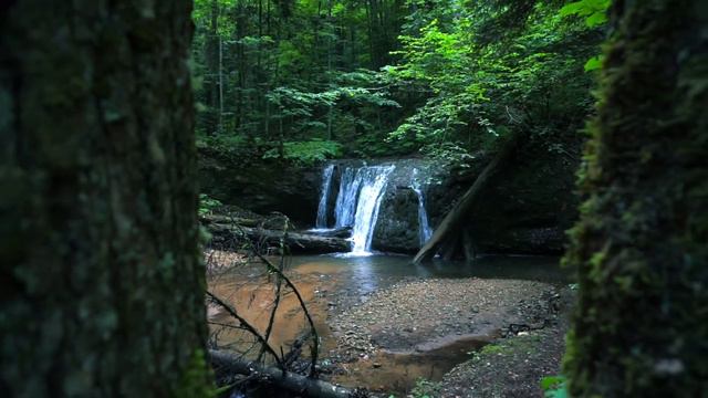 Отель Каштан в горах Адыгеи! смотреть онлайн