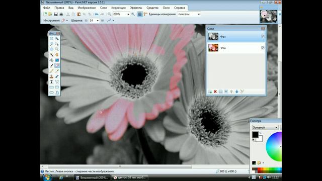 Paint.Net:Селективная окраска