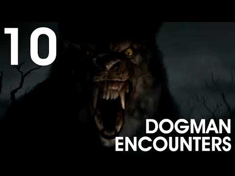10 WESTERN US WEREWOLF ENCOUNTERS PART 1 (Werewolfs, Dogman) - What Lurks Beneath