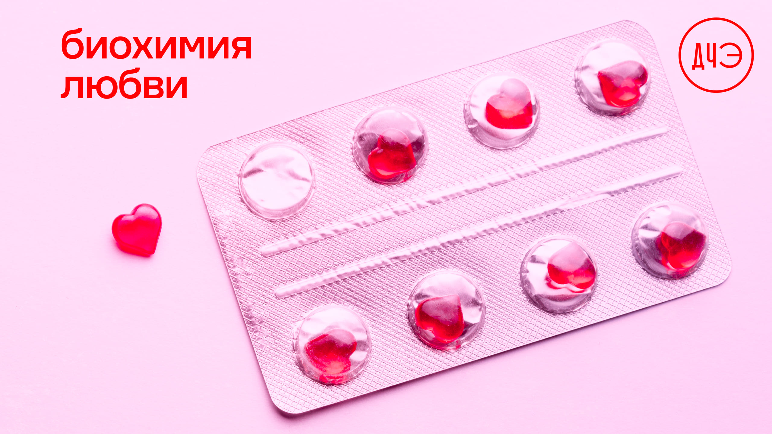 Что такое любовь с точки зрения науки?