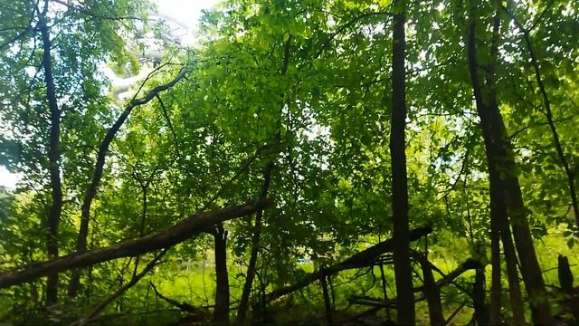 Заброшенные охраняемые трансформаторы Тесло - Заброшенный мир! смотреть онлайн