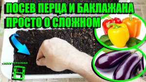 ЛЕГКИЙ ПОСЕВ СЕМЯН ПЕРЦА И ПОСЕВ СЕМЯН БАКЛАЖАНА НА РАССАДУ. САД (ОГОРОД) И ТЕПЛИЦА 2-21