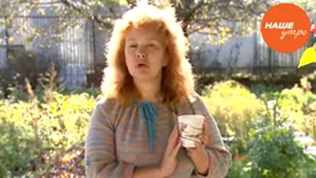 Как правильно заваривать лекарственные травы смотреть онлайн