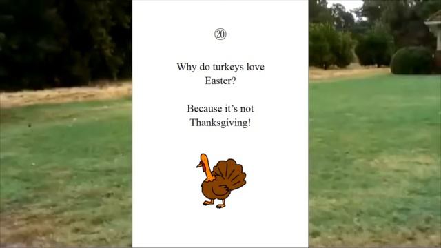 [Vinesauce] Joel - Super Thanksgiving 2022 Highlights ( Part 1 ) смотреть онлайн
