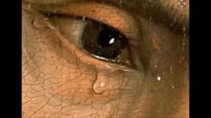 Павел Чесноков  Да исправится молитва моя - хор академии хорового искусства - дирижёр Виктор Попов