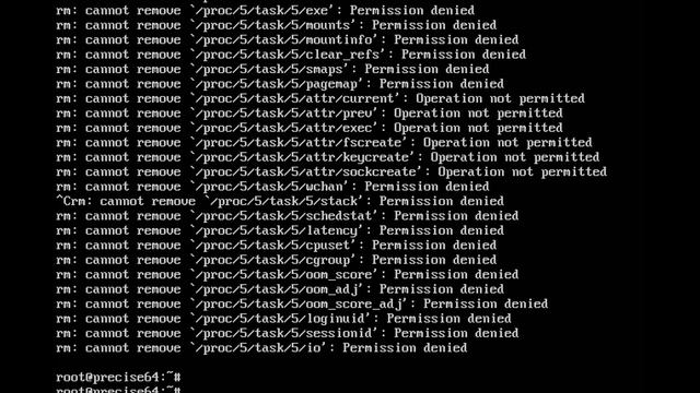What happens when you run "rm -fr /" on a Linux server? смотреть онлайн