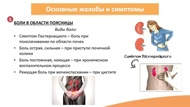 8.1. Заболевания органов мочевыделительной системы смотреть онлайн