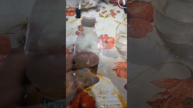 Одна из лучших насадок для рыбы !