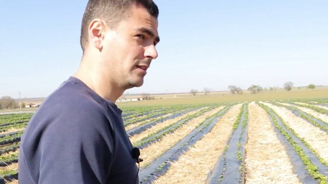 Как я начал свой бизнес и благодаря чему?! смотреть онлайн