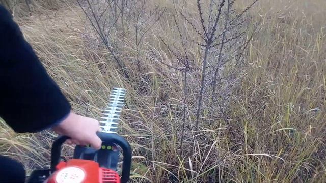 SLP600B Красная Звезда кусторез режем облепиху в ноябре. смотреть онлайн