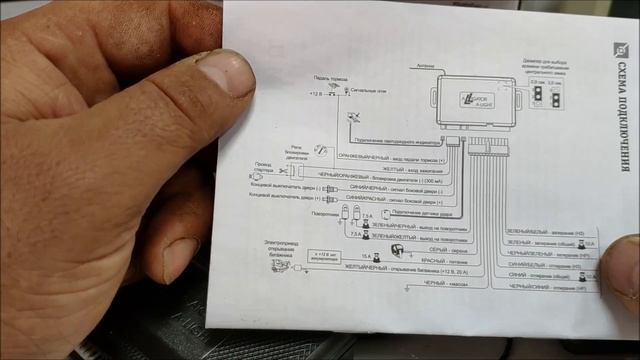 Alligator A-LIGHT обзор