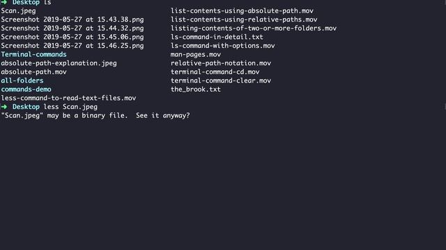 less command reading binary files смотреть онлайн