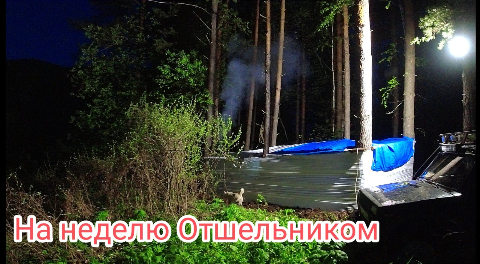 На неделю Отшельниками, печка есть - жить не где, пришел медведь... 1-я серия смотреть онлайн