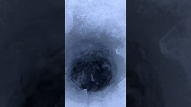 24 января 2020 г.зимняя рыбалка на окуня абаканская протока смотреть онлайн