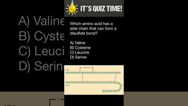 Disulfide bridge смотреть онлайн