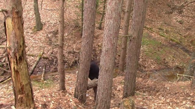 Wish Camping Trip PART 2 смотреть онлайн