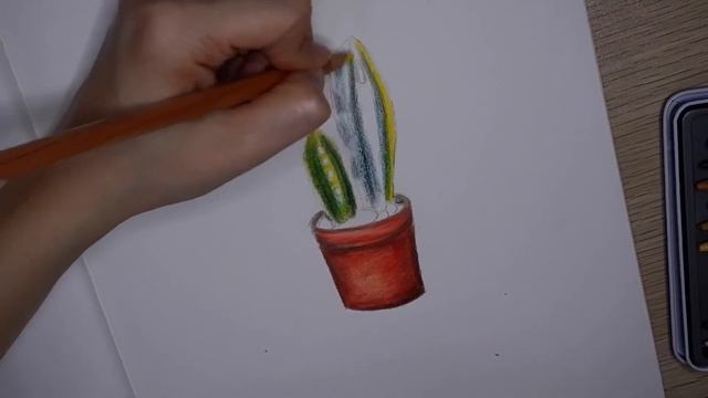 HOW TO DRAW A CACTUS | COLORED PENCIL TUTORIAL смотреть онлайн