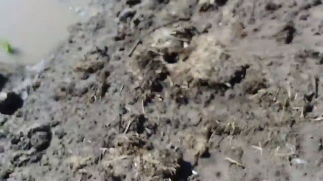 горизонтальная гидроизоляция цоколя смотреть онлайн