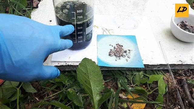 Серебро в контактах. Как снимает серебро азотная кислота. Опыт. смотреть онлайн