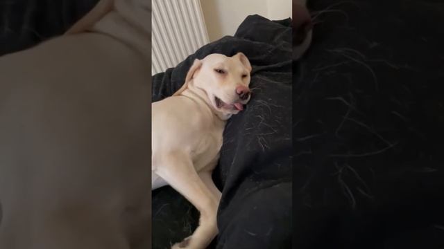 Как Сделать Своими Руками