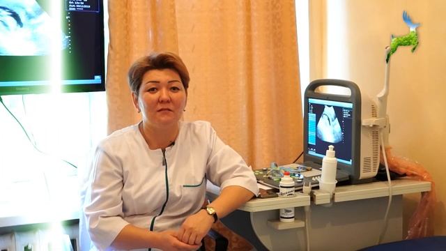 Гинекология в санатории Аксу-Жабаглы смотреть онлайн