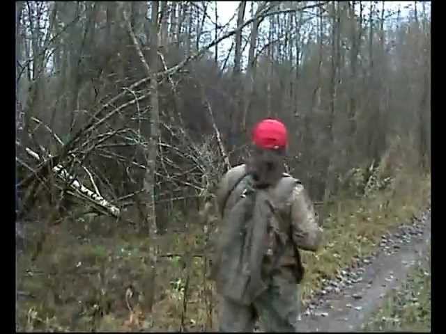 Охота на вальдшнепа 2009