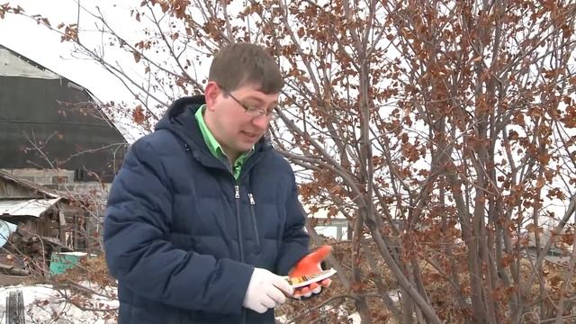 КОНСУЛЬТАНТ САДОВОДА 101 смотреть онлайн