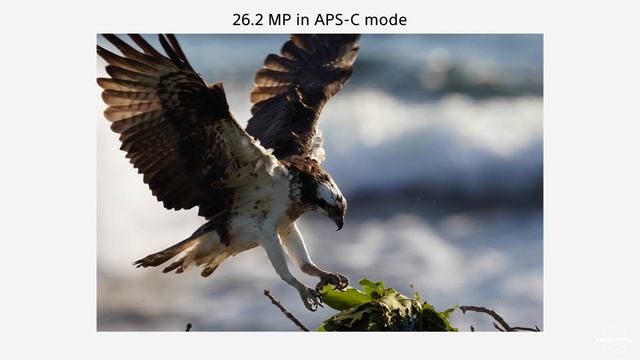 Sony A7R IV характеристики, тест видео