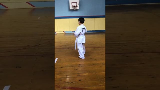 Са джу джириги (Туль) на белый пояс дети Taekwondo смотреть онлайн