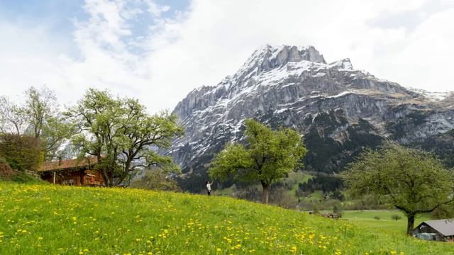 Интересные истории. Дочь невзлюбила невесту отца, считая её охотницей за деньгами. А когда правда.. смотреть онлайн