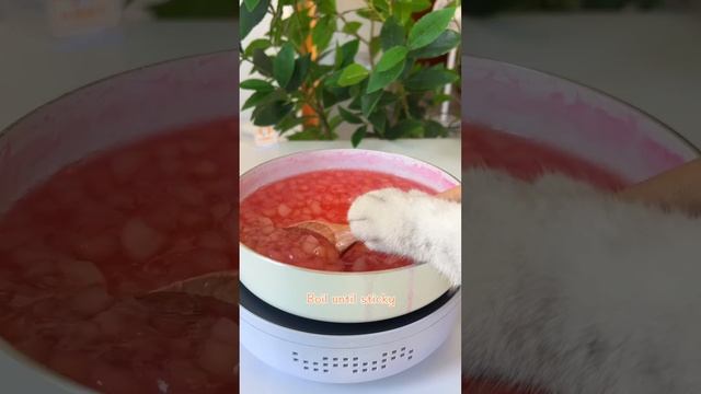 Chef Cat Brings The COOLEST SUMMER Food Collection! ?|Cat Cooking Food|Cute And Funny Cat смотреть онлайн