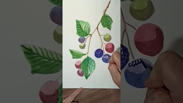 Как нарисовать ягоды ежевики акварельными красками. смотреть онлайн