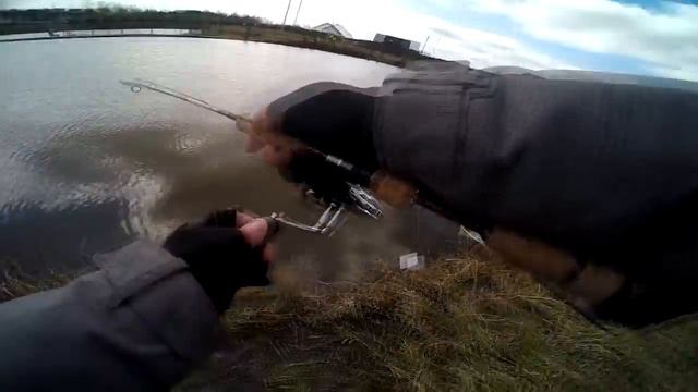 Ловля форели в КРХ Бобок или чемпионат МО 15.04.2017 смотреть онлайн