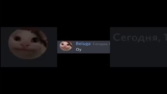 Белугу поймали Фби! смотреть онлайн