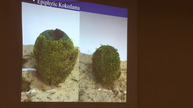 Growing on a Jungle Log & Alternative Potting Methods смотреть онлайн