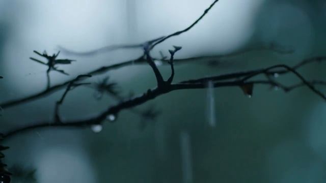 Страшные истории - ВЕДЬМИНА ЗАСТАВА (М. Джурич) ВМЕСТЕ С СМС! Мистика Страшилки Деревня Ведьмы Обря смотреть онлайн