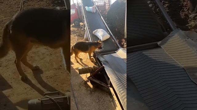 Работа ОТК смотреть онлайн