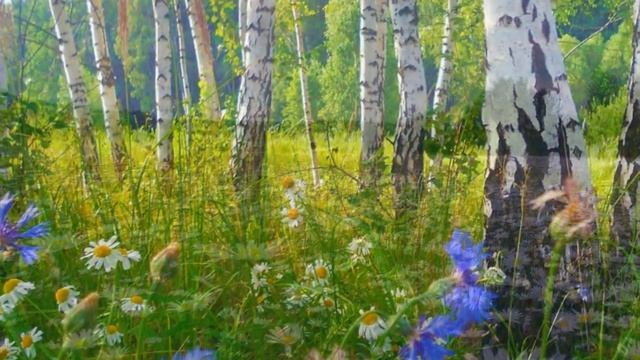 НА День рождение внучки смотреть онлайн