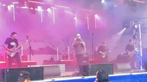 Suspect Under Pressure (SUP)  - Your Bunny wrote (live 2022, Teriberka)