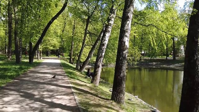 Бомж дал мальчику-сироте последние 100 рублей, а через 5 лет у его хижины остановился странный авто смотреть онлайн