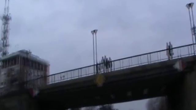 silurus glanis 215cm VERTICAL смотреть онлайн