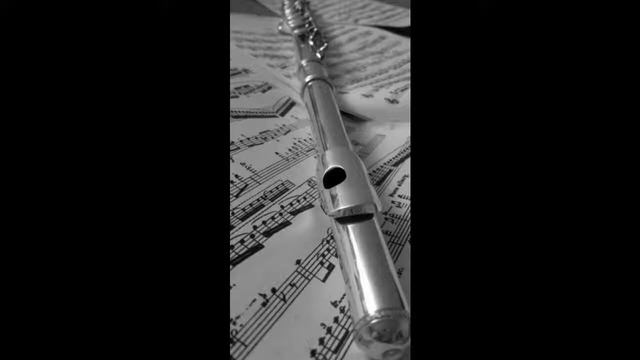 II. Allegro from Recorder Sonata in A minor by George Frideric Handel (Flute) смотреть онлайн