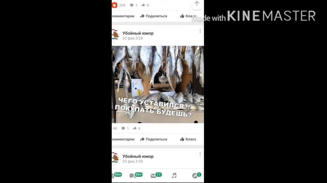 Приколы из Одноклассников смотреть онлайн