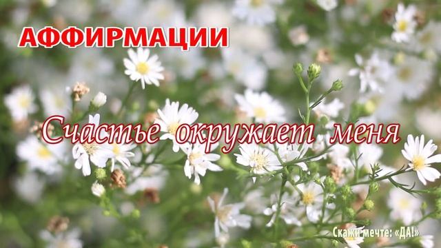 Аффирмации - Счастье окружает меня смотреть онлайн