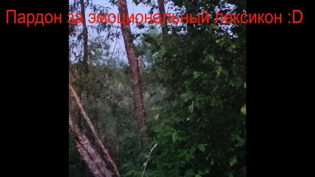 Вага 2021.Язеголавли,окунье,внезапный лось смотреть онлайн