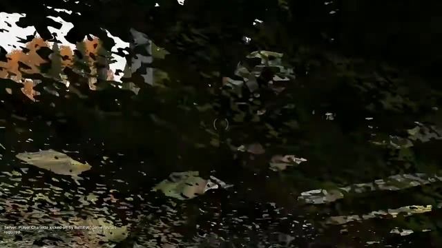 Когда зашел в Dayz Standalone смотреть онлайн