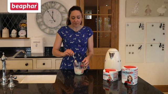 Beaphar | How to make Beaphar Lactol Milk смотреть онлайн