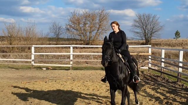 "ВОРОНЫЕ ЛОШАДИ"КАРАЧАЕВСКИЙ МЕРИН"ПОКА НЕ СПРАВЛЯЮСЬ??♀️ смотреть онлайн