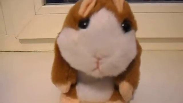 ИГРУШКА ХОМЯК-ПОВТОРЮШКА смотреть онлайн